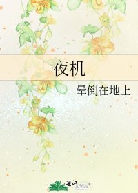 夜機